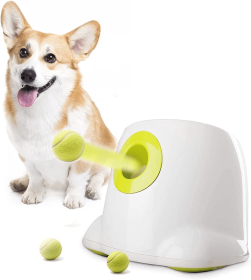 Dog tennis ball launcher server