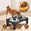 Dog Raised Double Bowl Dog Feeder