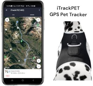 Wireless GPS Realtime Tracking