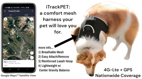 Mini Tracking Dog Collar