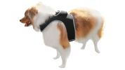 Mini Waterproof Dog Collar GPS