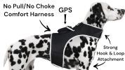 Mini Tracking Dog Collar