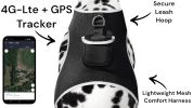 Wireless GPS Realtime Tracking