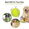 Dog Tennis Balls 20pk