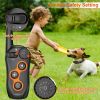 Dog Training Collar with Remote