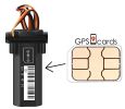 Sim Card for  Pet GPS Phone App