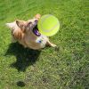 Dog Tennis Balls 20pk