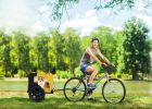 Yellow Outdoor Dog Bicycle Trailer