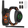 Dog Training Collar with Remote