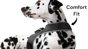 Detailed GPS Dog Tracking System