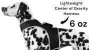 Mini Waterproof Dog Collar GPS