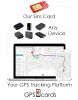 SIM Card for Pet GPS Tracker