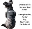 Mini Tracking Dog Collar