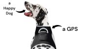 Mini Waterproof Dog Collar GPS