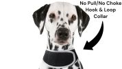 Mini Tracking Dog Collar