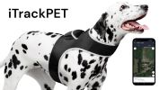 Detailed GPS Dog Tracking System