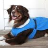 Alpine Dog Coat - Mountain Lake