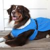 Alpine Dog Coat - Mountain Lake