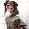 Alpine Dog Coat - Dried Sage