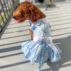 Blue Daisy Dress with Matching Leash (DD Size: S)