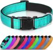 Reflective Dog Collar