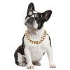 Dog big gold chain