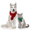 Pet Knitted Scarf