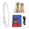 Multi-Color LED Lighting Dog Safety Collar