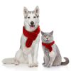 Pet Knitted Scarf