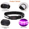 Light Up Dog Collar