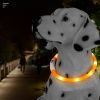 Pet's LED Collar With USB