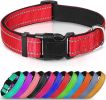 Reflective Dog Collar