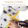 Pet's LED Collar With USB