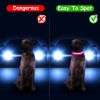 Light Up Dog Collar