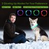 Multi-Color LED Lighting Dog Safety Collar